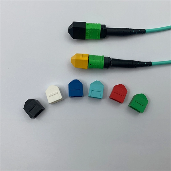 What does a Danish access switch include